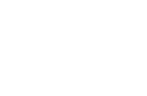 24. korrika aek Euskara gara